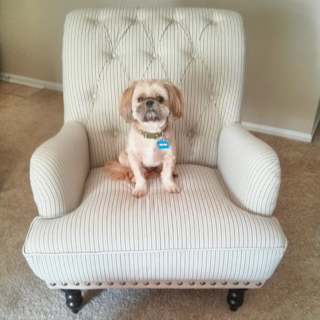 Arm chair