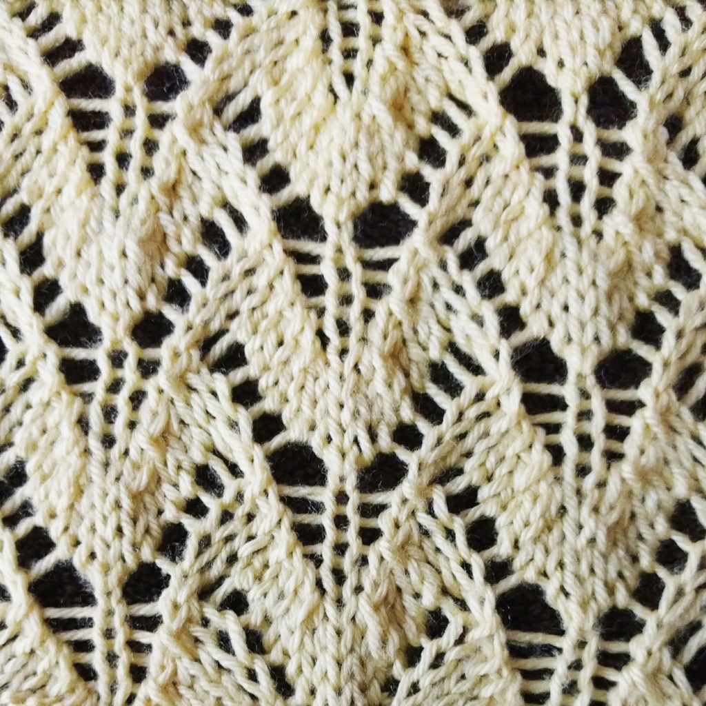 Winged Lace Stitch - Purl Avenue